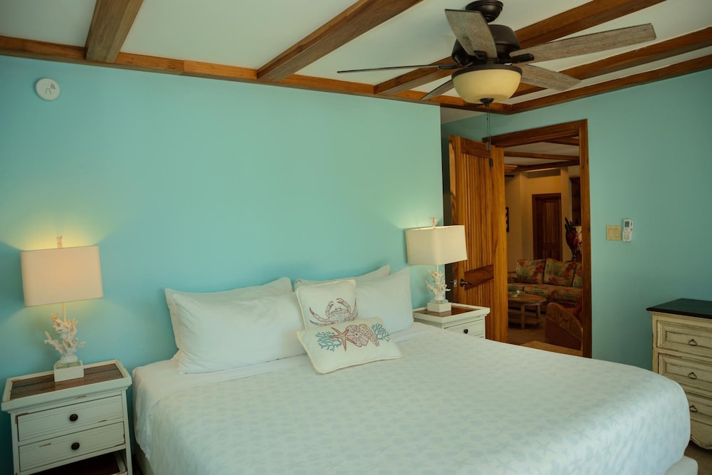 Large Oceanfront Villa With Pool Close to Village