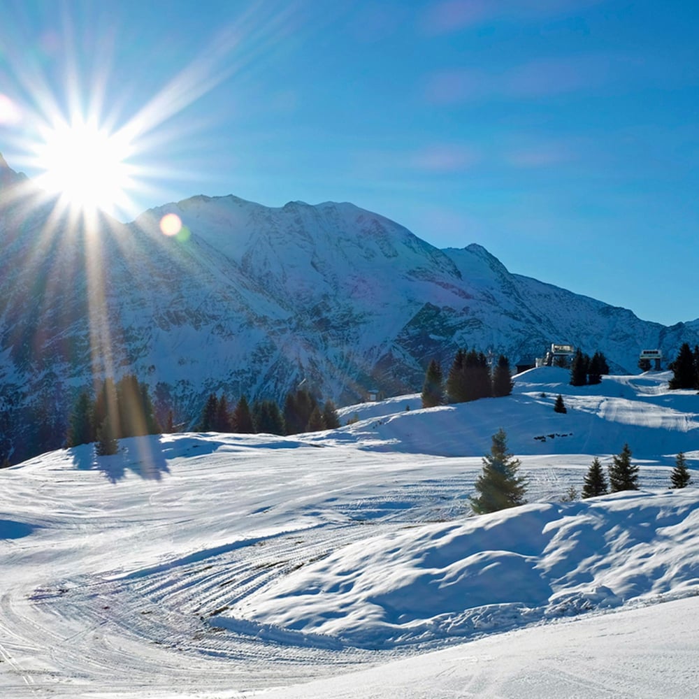 Village des Oursons Chalet B