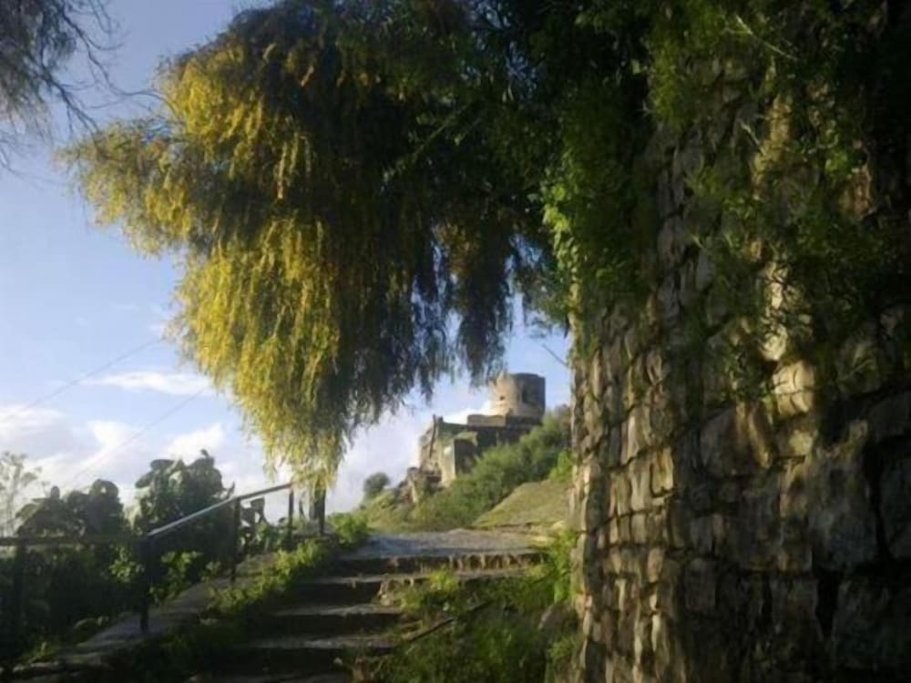 Photo 26