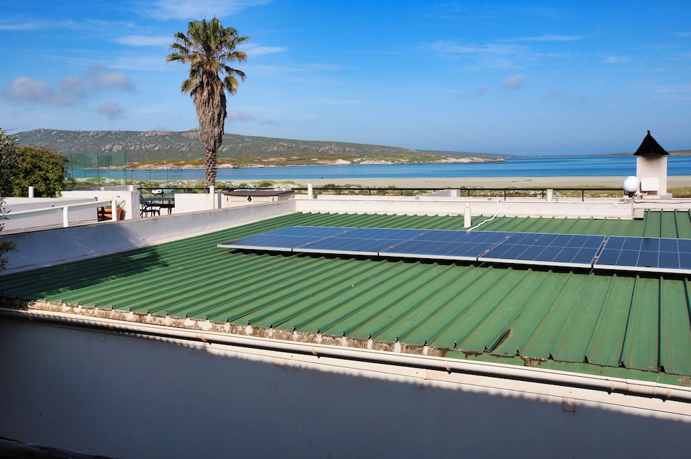 Klopdisselboom Langebaan 10-sleeper