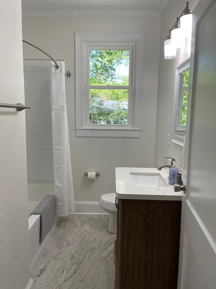Renovated 1 Bedroom in Forest Hills - A
