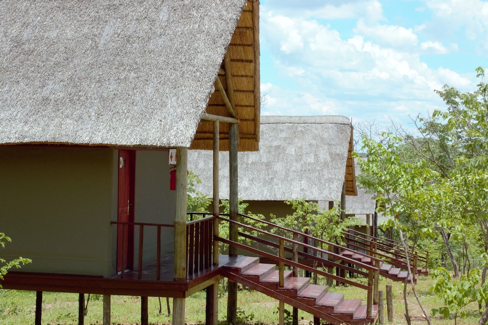 Lion Roars Lodge