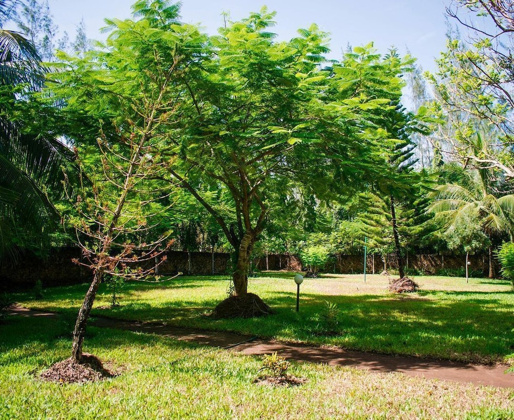 Photo 27