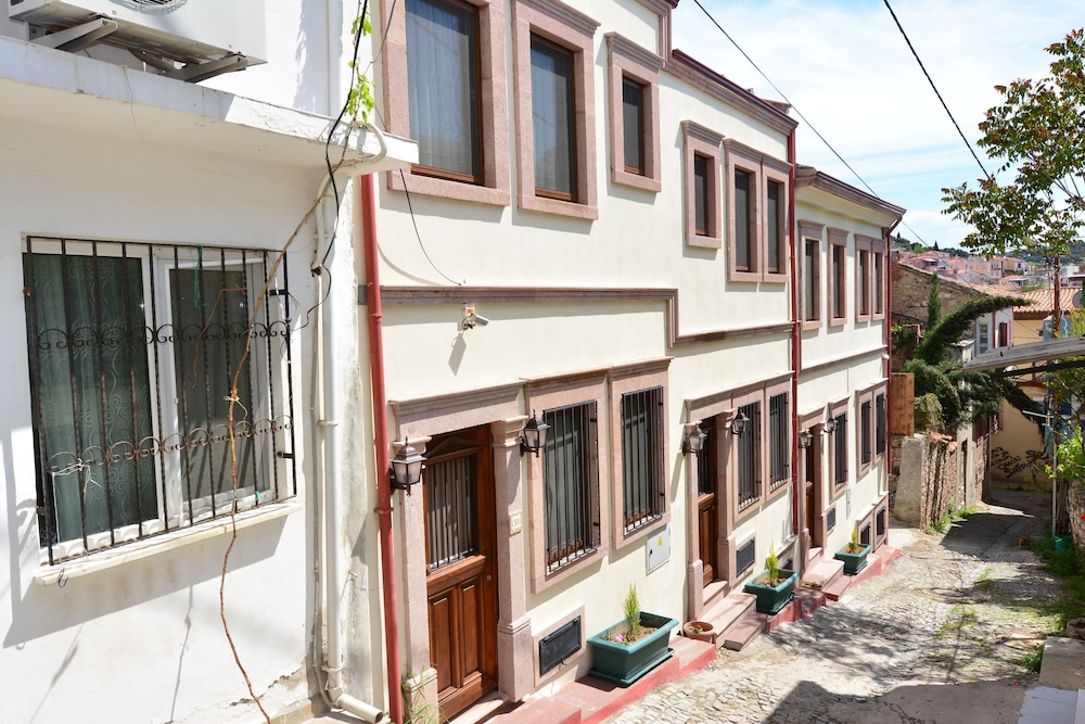 Hayriye Hanim Ege - Image 29