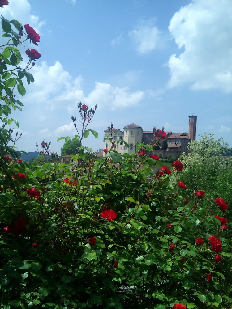 Photo 25