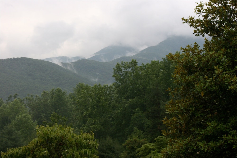Pisgah View Ranch