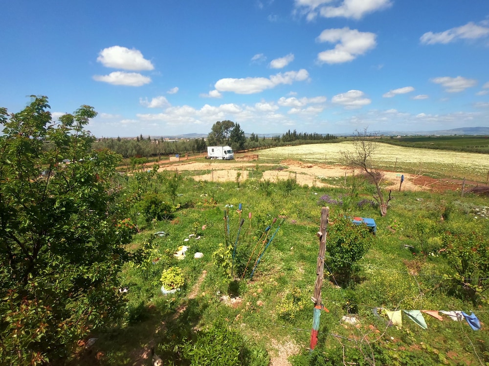 Les Racines view 5