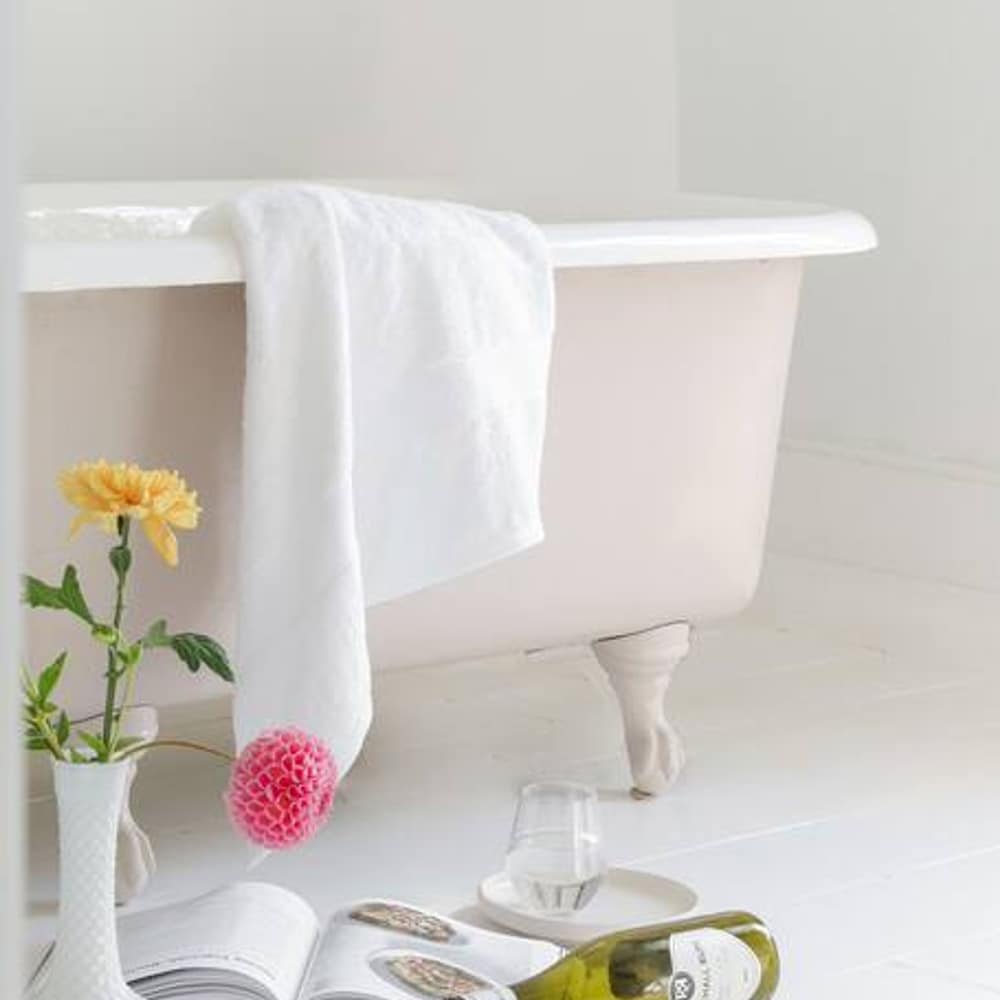 Let Go Unwind at the Wild Rose