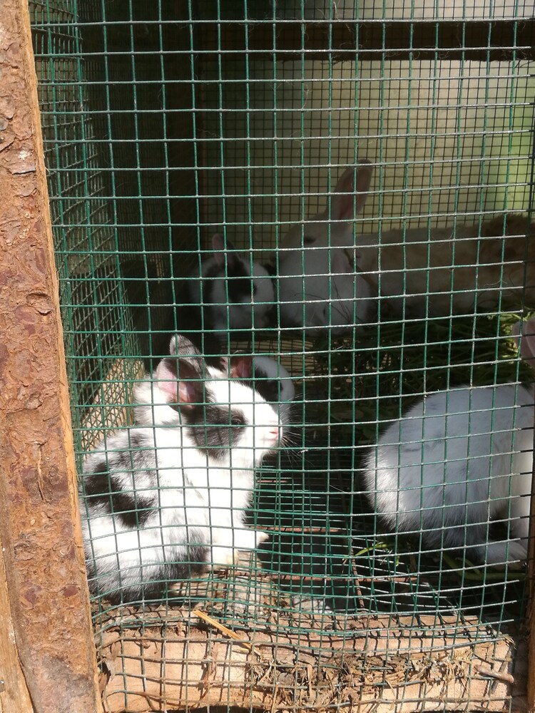 Photo 32