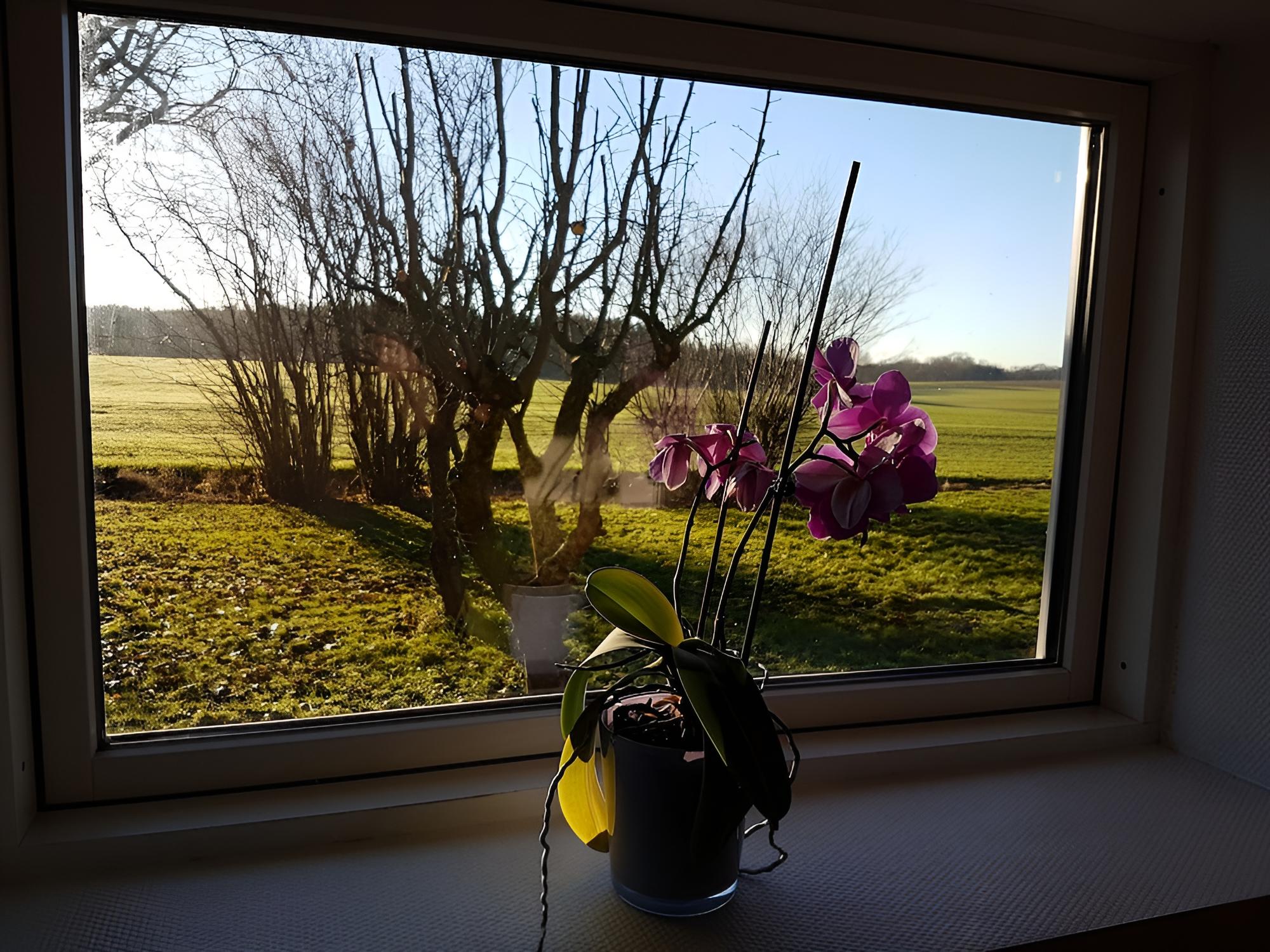 Seng og Kaffe B&B