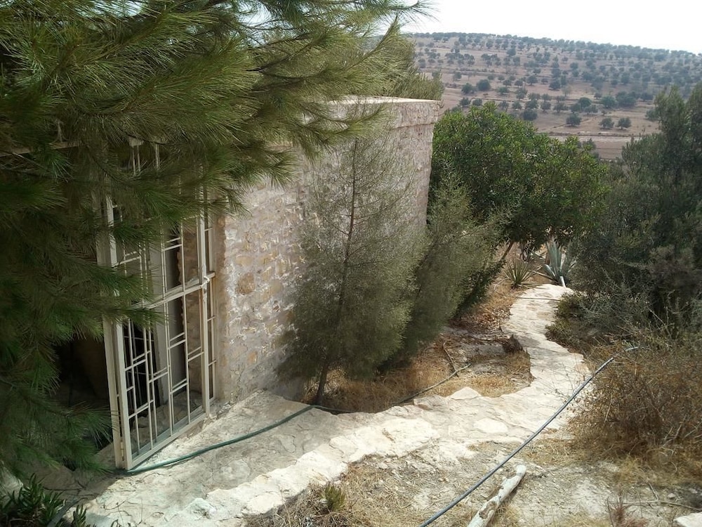 Domaine l'oliveraie