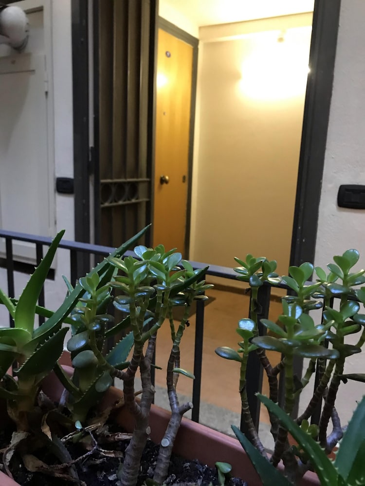 Case Così Chiaia