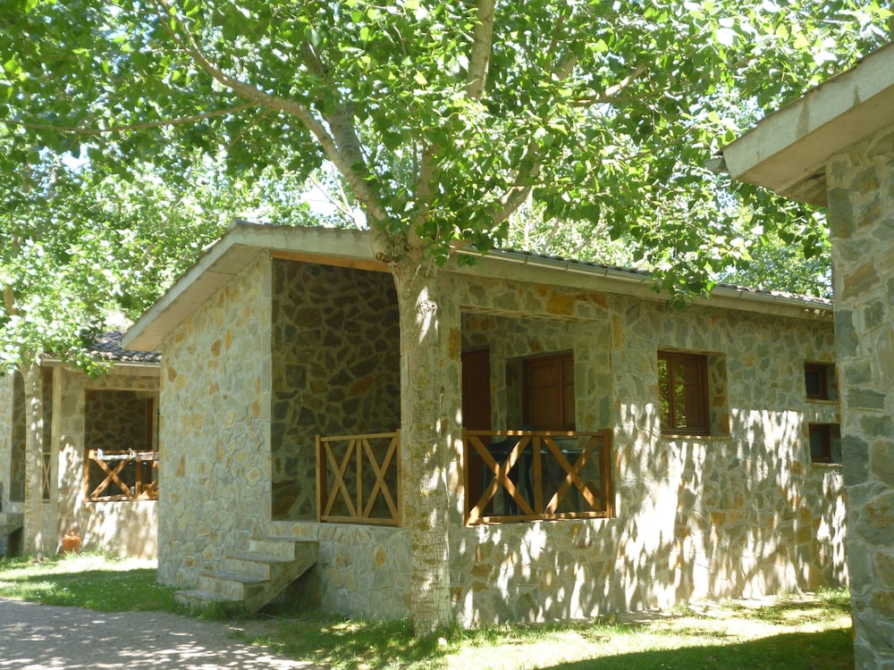Photo 42