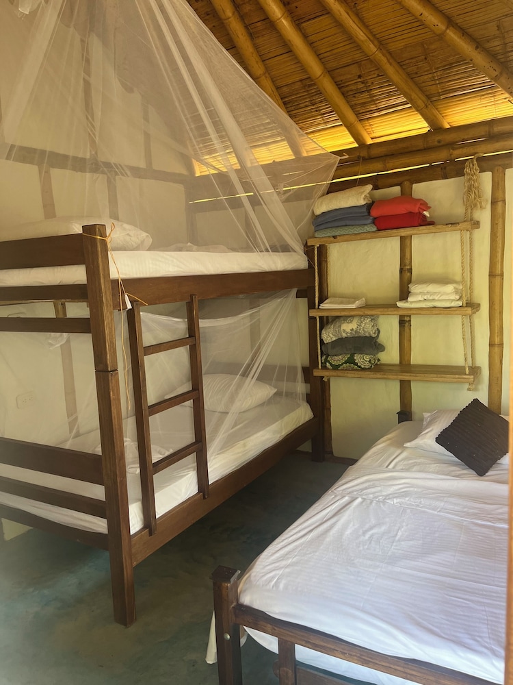 Tree of Life - Hostel