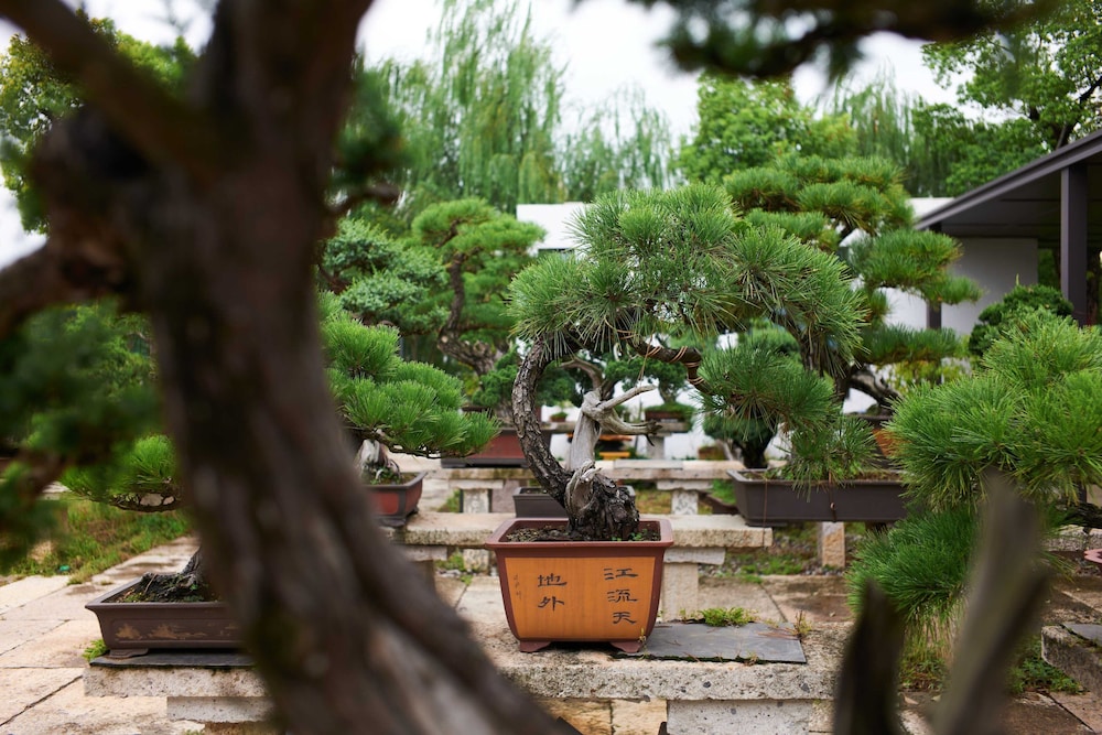 Pokkei Hotel Shaoxing