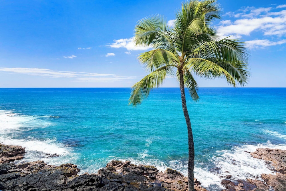 Oceanfront Elegance 2BR w/ Panoramic Views, Pool, Lanai + Concierge - Vrkcv