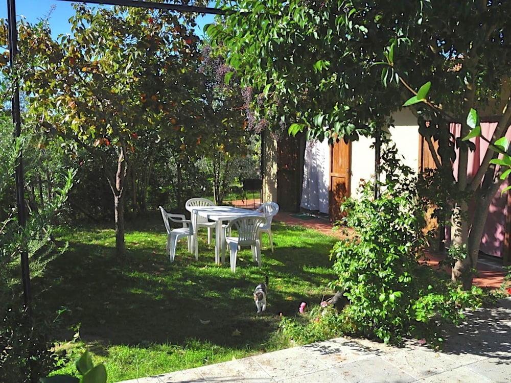 Photo 9
