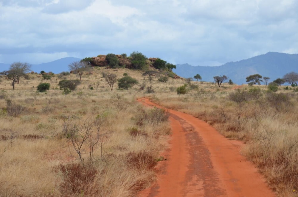 Lake Jipe Safari Camp
