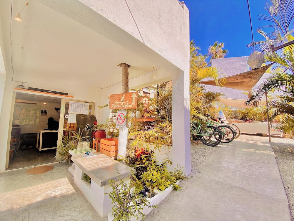 Perro Surfero Hotel Boutique - Todos Santos, BCS