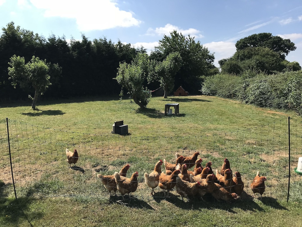 Colton Haggs Farm B&B