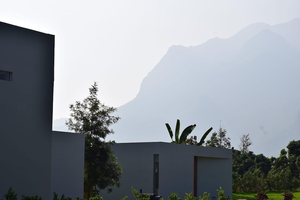 Mist Villa
