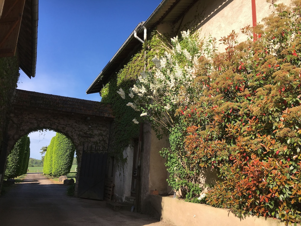 Les Templiers