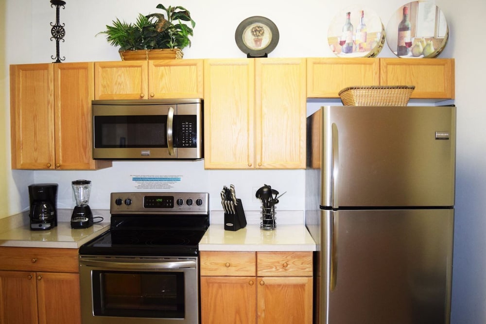 Windsor_palms_304n - Image 3