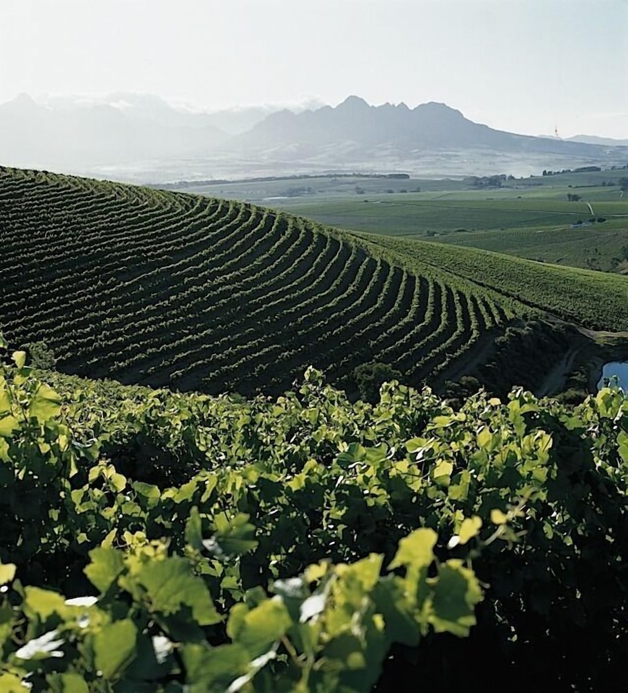 Jordan Wines Luxury Suites