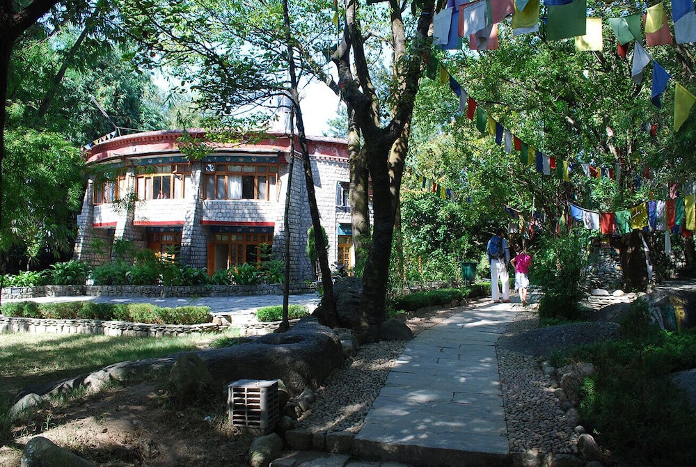 Photo 13