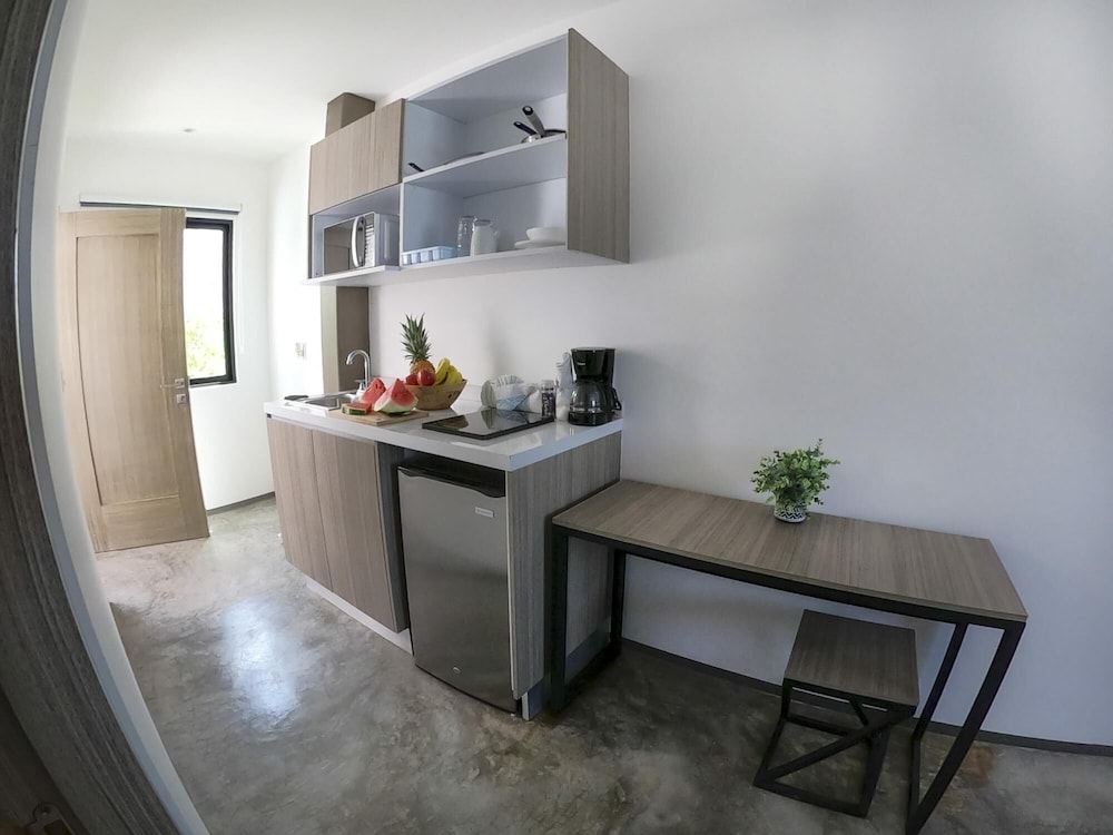 Queen Studio PDC Oasis Pool Rooftop Lounge Walk to 5 Avenida Best Playa Beaches