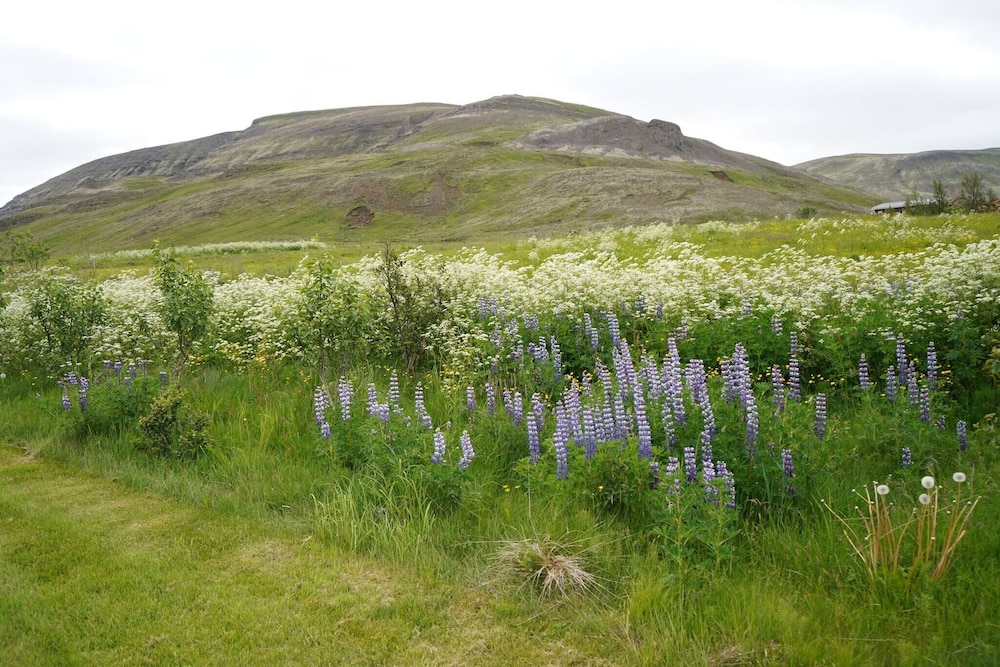 Hólakot Cabin In Golden Circle