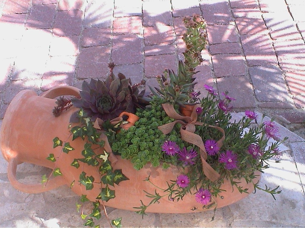 Photo 51