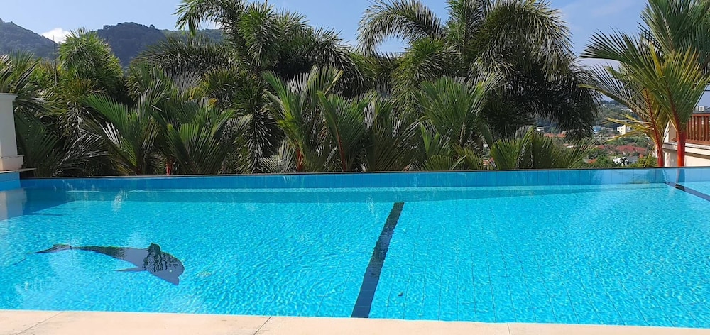 Photo 43