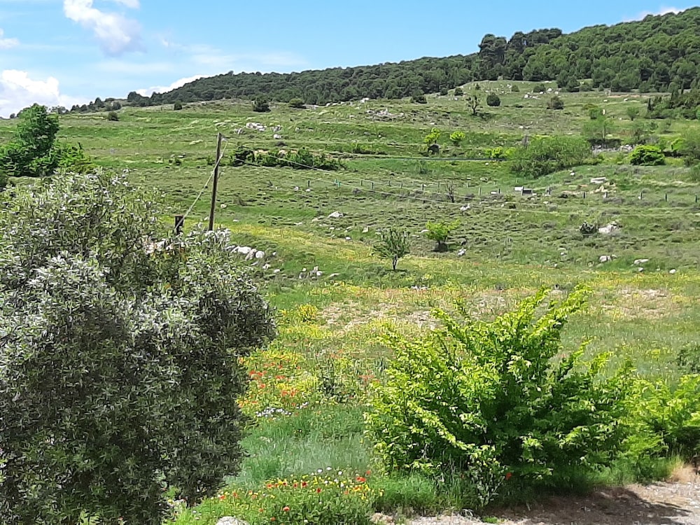 Photo 28