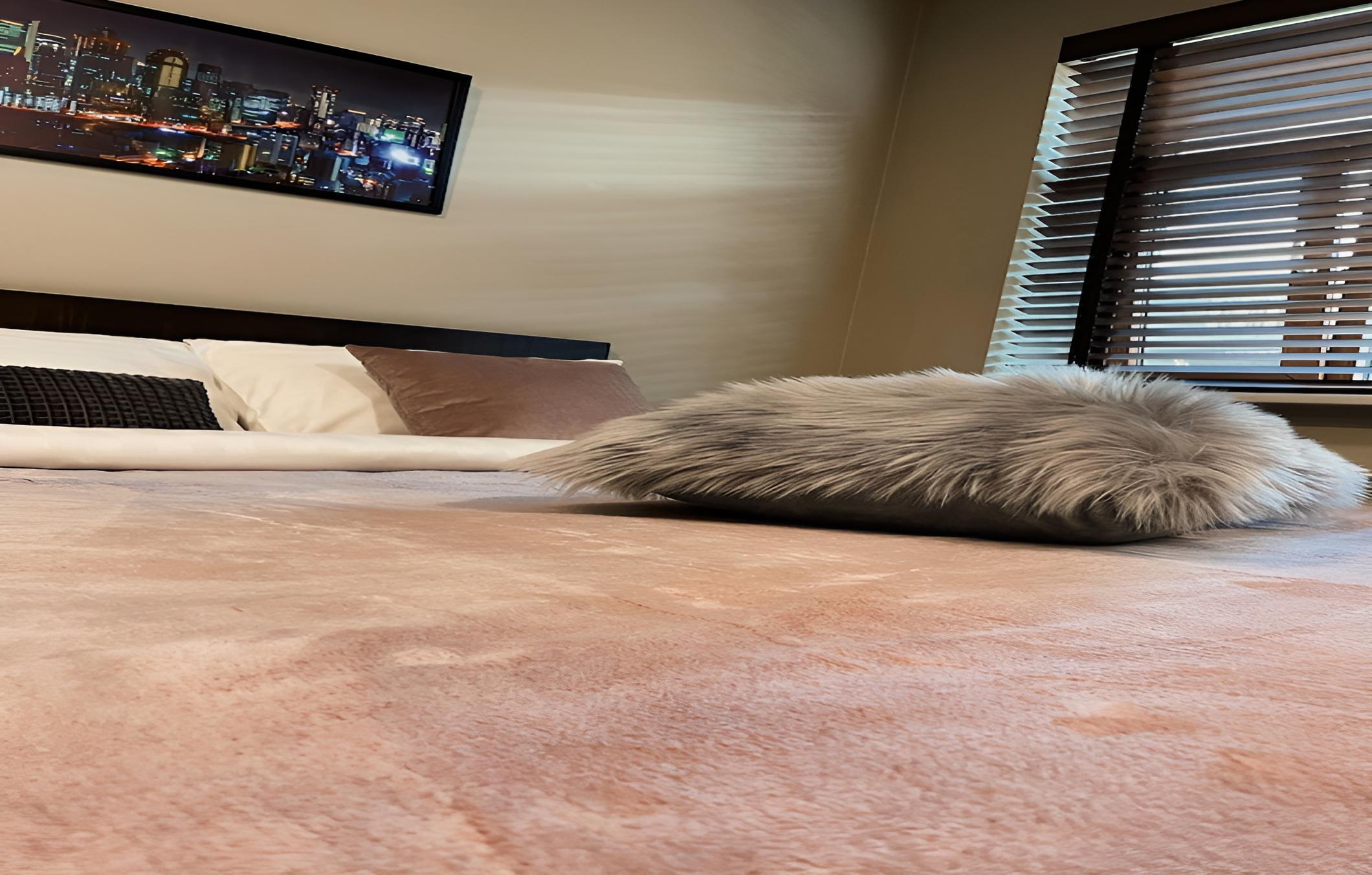 Hotel Meg