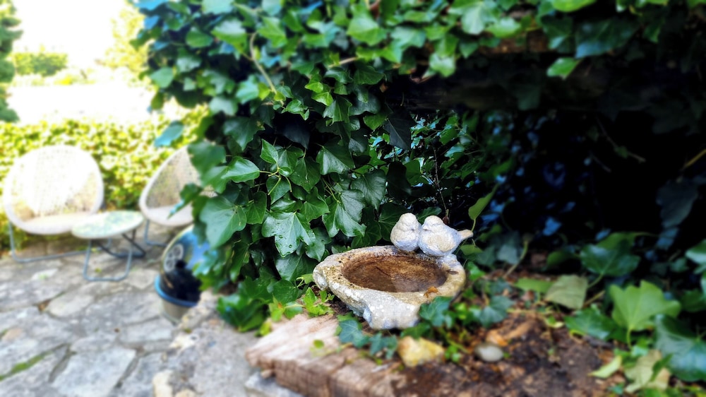 Honeypot Cottage