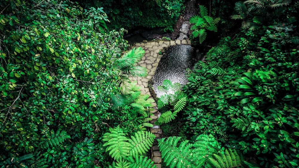 Sacred Canyon Reserve by Pramana Villas