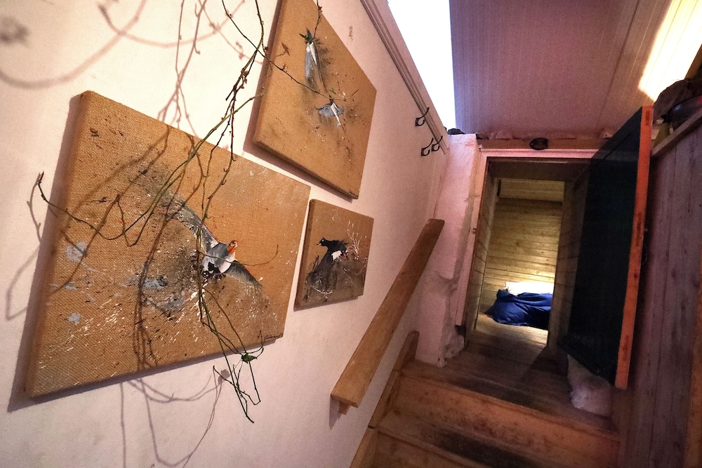 Photo 44
