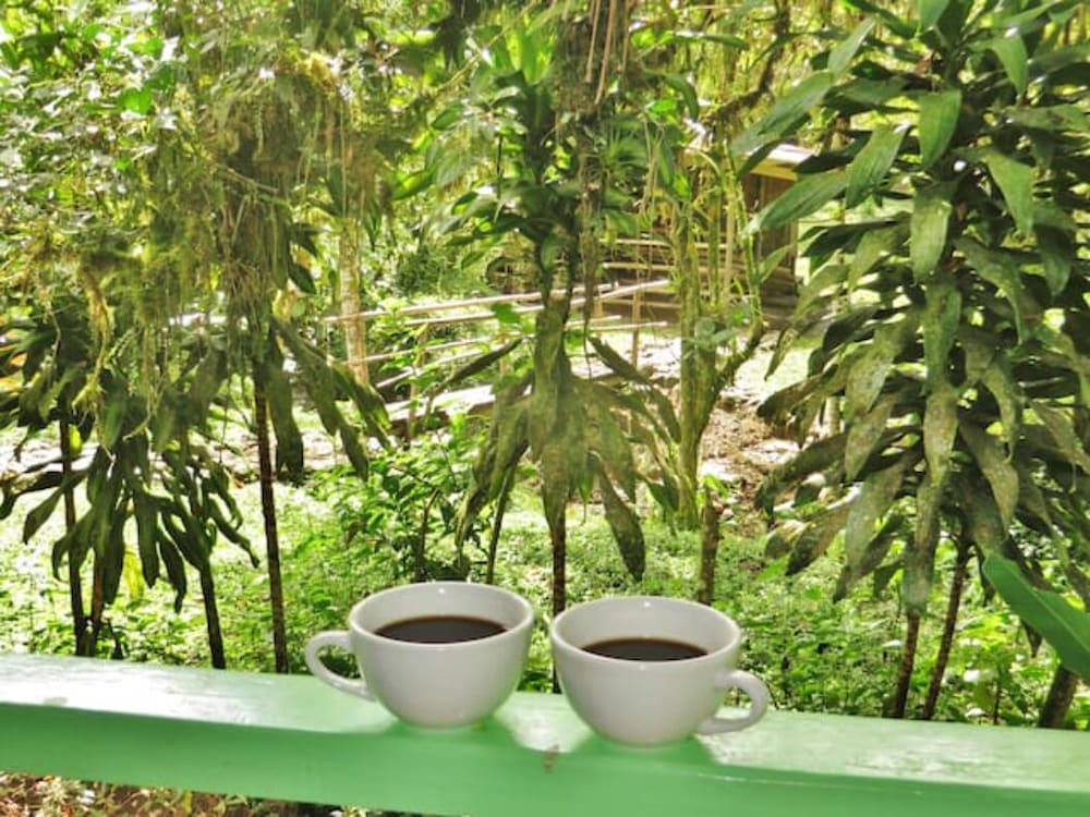 Mindo Eco chalet