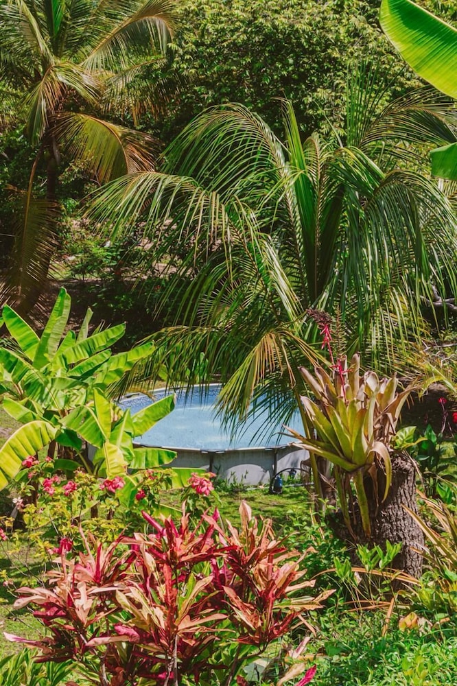 Magic Greeen Tayrona