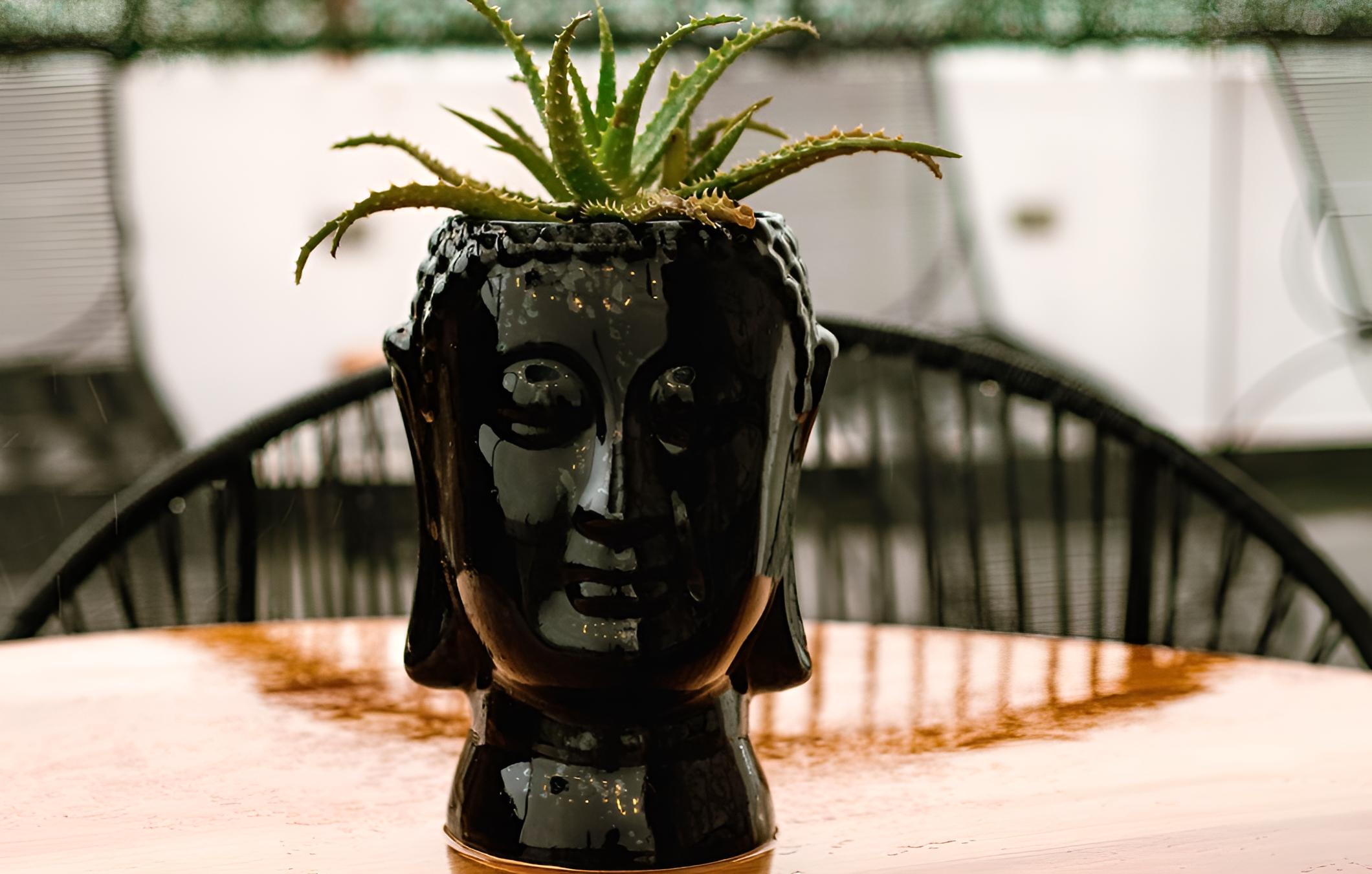 Playa del Carmen condo by VH view 3