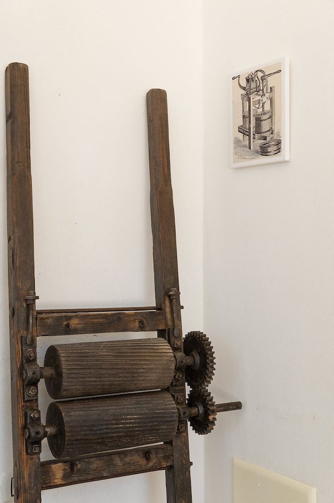 Photo 49