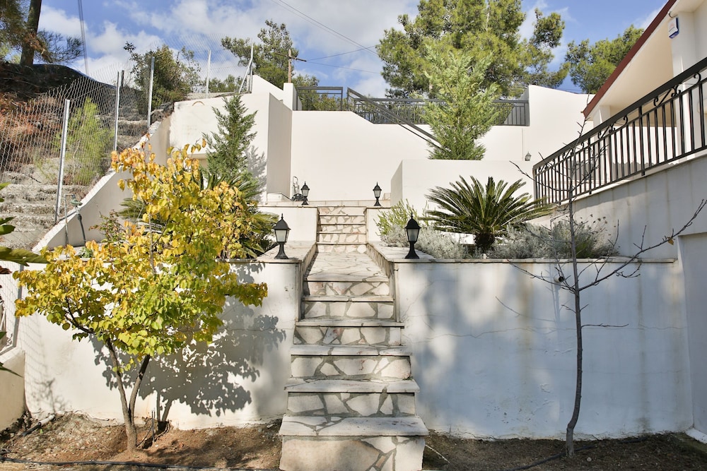 Nestor Hillside House