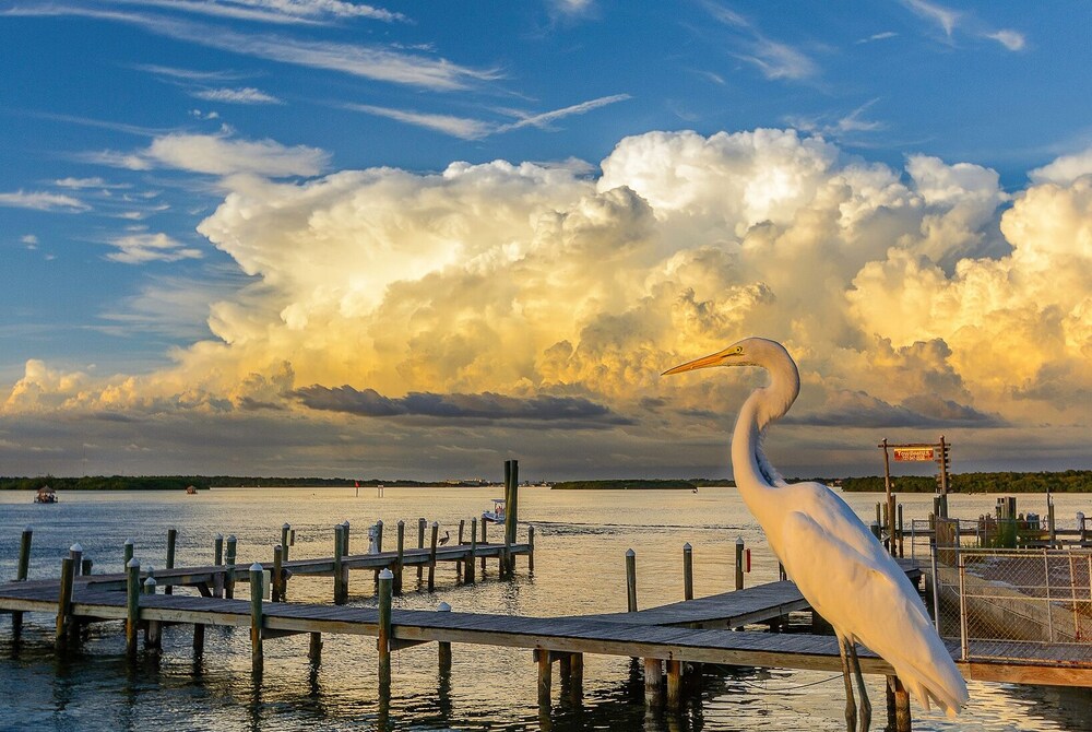 Bermuda Bay by Affordable Beach Condos