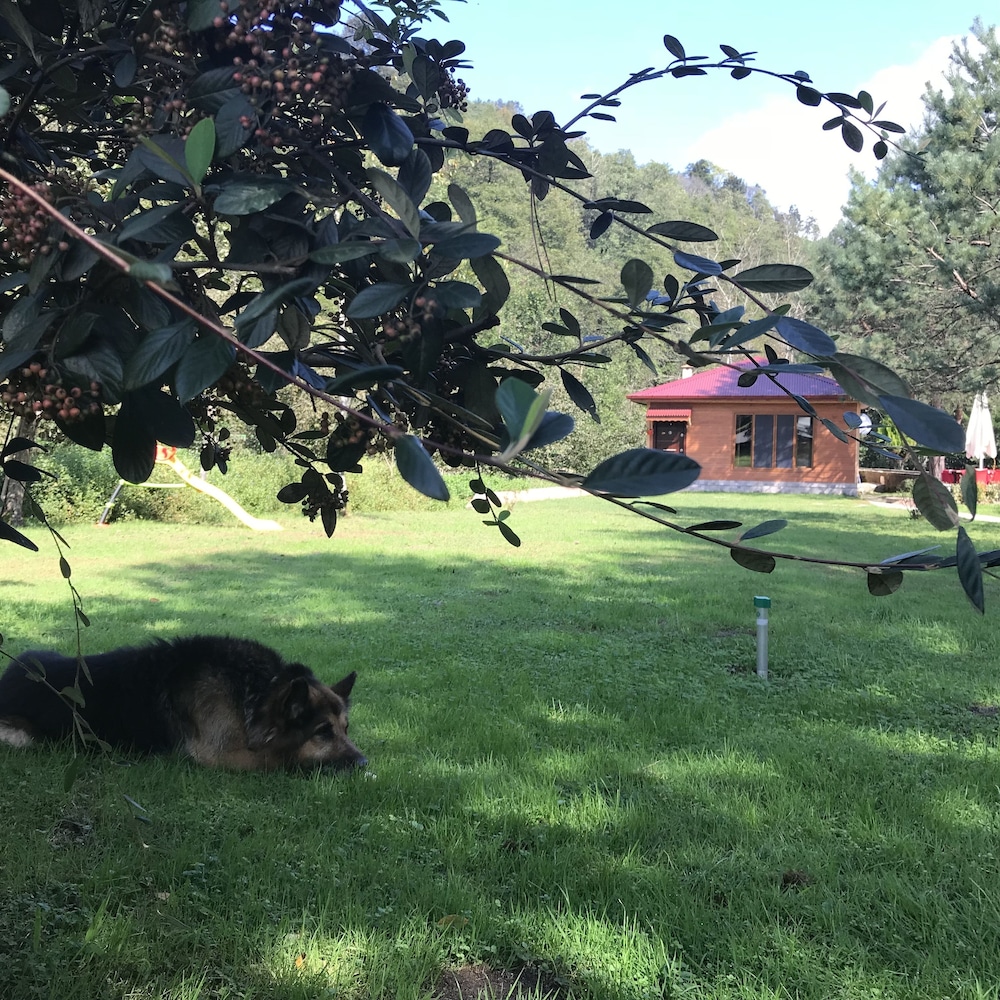Pinar Kir Evi