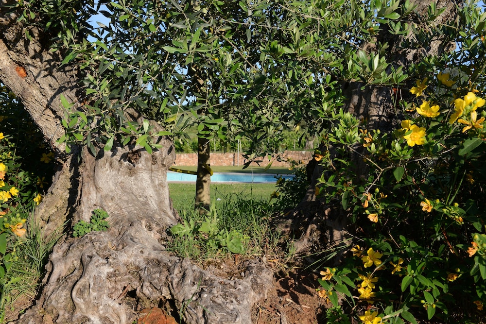 Monferrato Resort
