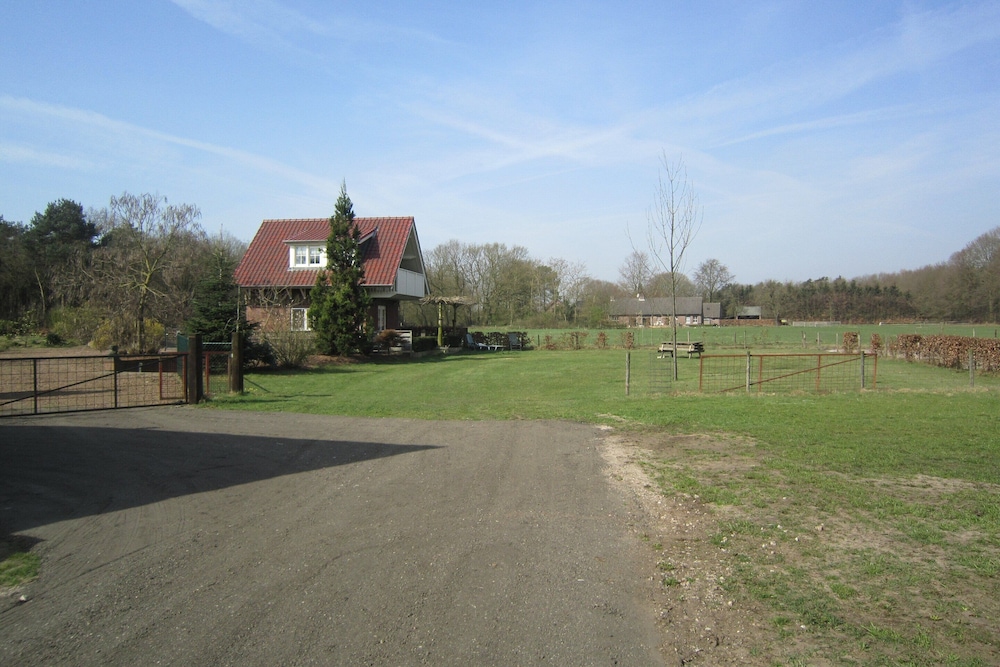 Photo 20