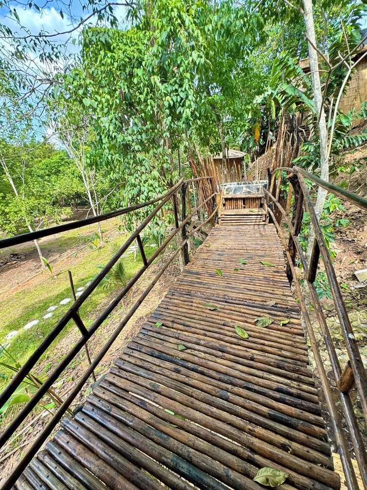 Akasha suites