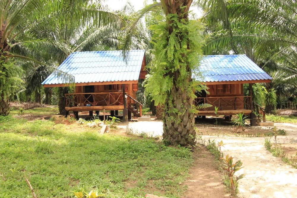 Khaosok Palmview