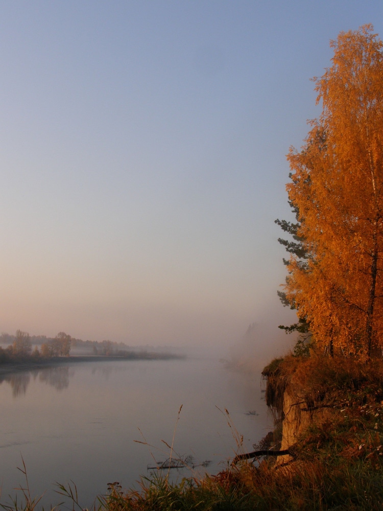 Photo 50